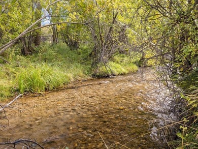 Rare Opportunity to Own Live Water in the Heart of Montana's - photo 5