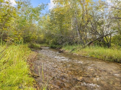 Rare Opportunity to Own Live Water in the Heart of Montana's - photo 6