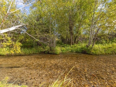 Rare Opportunity to Own Live Water in the Heart of Montana's - photo 7