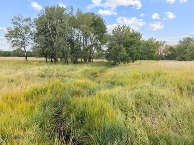 Rare Opportunity to Own Live Water in the Heart of Montana's - photo 8