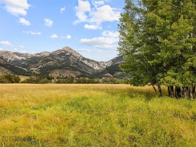 Rare Opportunity to Own Live Water in the Heart of Montana's - photo 10