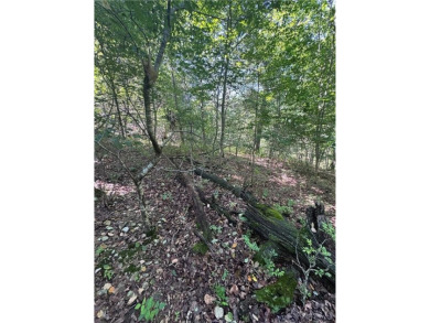 Lake Lot For Sale in Bella Vista, Arkansas