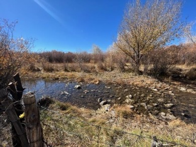 Lake Acreage For Sale in Ranchos de Taos, New Mexico