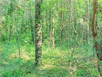 39345 - Lake Lot For Sale in Bronston, Kentucky