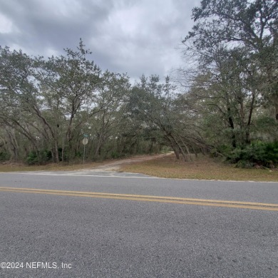 (private lake, pond, creek) Lot For Sale in Interlachen Florida