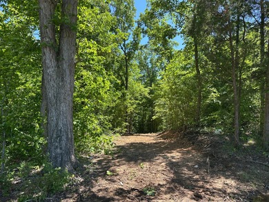 Barren River Acreage For Sale in Bowling Green Kentucky