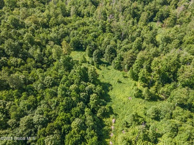 (private lake, pond, coastal) Acreage For Sale in Jefferson New York