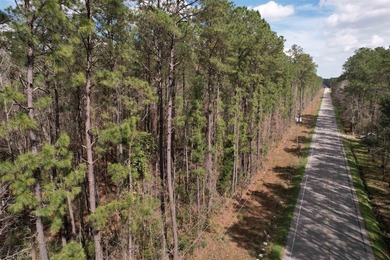 5.49 acres located on Pennyroyal Road in Georgetown, SC. Located - photo 2