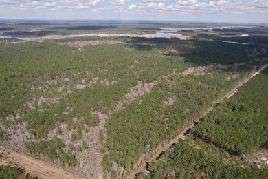5.49 acres located on Pennyroyal Road in Georgetown, SC. Located - photo 4