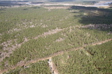 5.49 acres located on Pennyroyal Road in Georgetown, SC. Located - photo 5