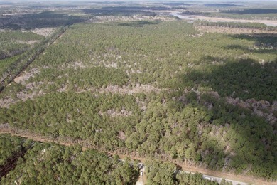 5.49 acres located on Pennyroyal Road in Georgetown, SC. Located - photo 7