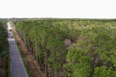 5.49 acres located on Pennyroyal Road in Georgetown, SC. Located - photo 8