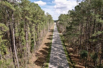 5.49 acres located on Pennyroyal Road in Georgetown, SC. Located - photo 9