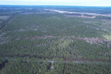5.49 acres located on Pennyroyal Road in Georgetown, SC. Located - photo 10