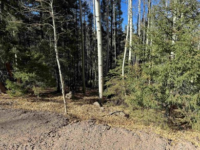Monte Verde Lake Lot For Sale in Angel Fire New Mexico