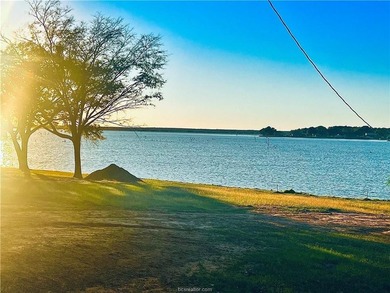 Discover your own private oasis on Lake Limestone! This is - photo 3
