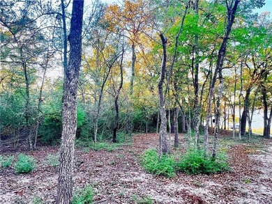 Discover your own private oasis on Lake Limestone! This is - photo 4