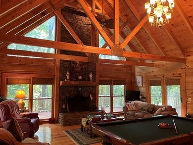 WATERFRONT LOG HOME!!! Located between Fort Gaines, Georgia and - photo 15