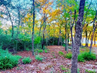 Discover your own private oasis on Lake Limestone! This is - photo 6