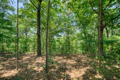 Beaver Lake Acreage For Sale in Eureka Springs Arkansas