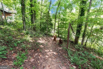 Private Lake Lanier home offered fully furnished with a - photo 36
