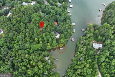 Private Lake Lanier home offered fully furnished with a - photo 37