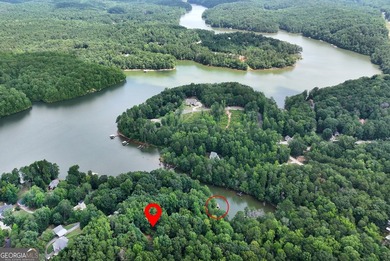 Private Lake Lanier home offered fully furnished with a - photo 39