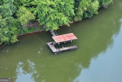 Private Lake Lanier home offered fully furnished with a - photo 41