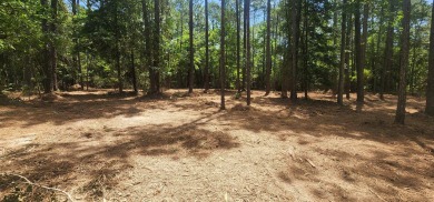 Lake Lot For Sale in Brookeland, Texas