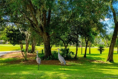 Ready for Immediate Occupancy! Seller is offering $5,000 to be - photo 60