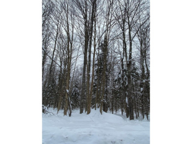 Lake Acreage For Sale in Hurley, Wisconsin