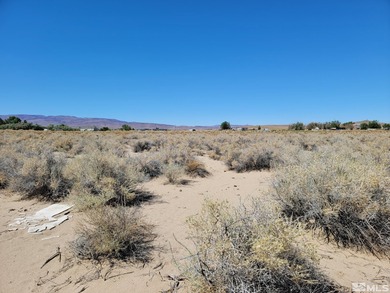 Lake Lahontan Acreage For Sale in Silver Springs Nevada
