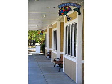 Gorgeous Franklin/Whitney model in Sun City Hilton Head. Loaded - photo 39