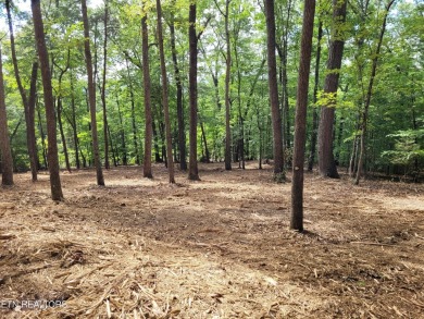 Lake Acreage For Sale in Sharps Chapel, Tennessee