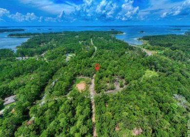 Lake Lot For Sale in Brookeland, Texas