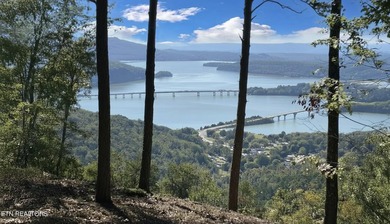 Spectacular RIVER VIEWS from this premier bluff top homesite in - photo 3