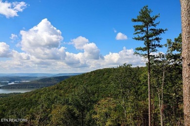 Spectacular RIVER VIEWS from this premier bluff top homesite in - photo 4