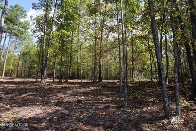 Spectacular RIVER VIEWS from this premier bluff top homesite in - photo 5