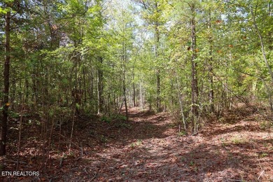 Spectacular RIVER VIEWS from this premier bluff top homesite in - photo 6