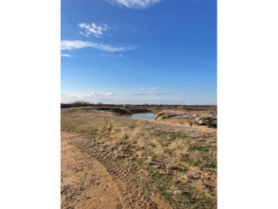 (private lake, pond, creek) Acreage For Sale in Woodson Texas