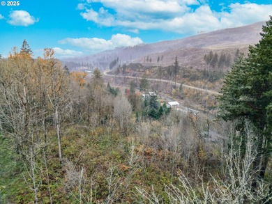 Santiam River - Marion County Lot For Sale in Lyons Oregon