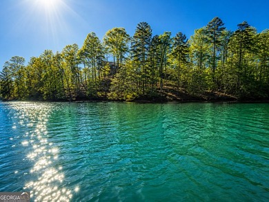 Build your dream lakefront retreat on this exceptional 1.09-acre - photo 12