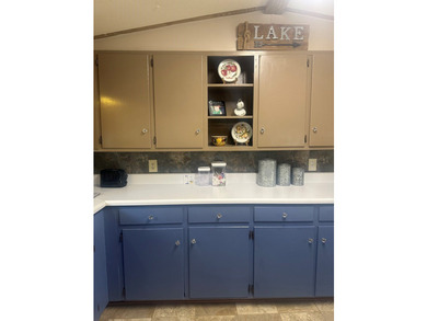 Come experience lakefront living on this beautiful, level lot - photo 15