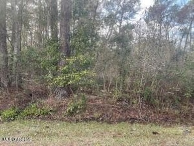 Buildable lot in OS school district. Water tap has been run to - photo 1