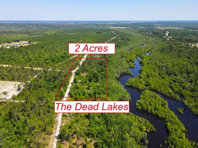 Seven Springs Lake Acreage For Sale in Wewahitchka Florida