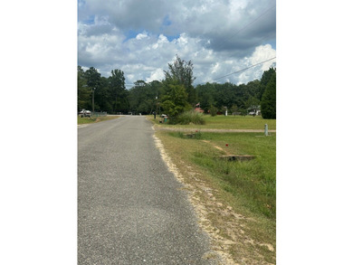 Come experience lakefront living on this beautiful, level lot - photo 42