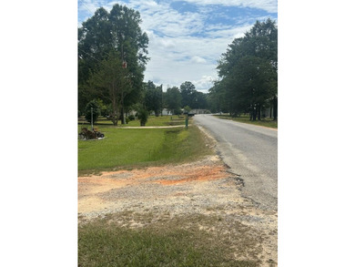 Come experience lakefront living on this beautiful, level lot - photo 43