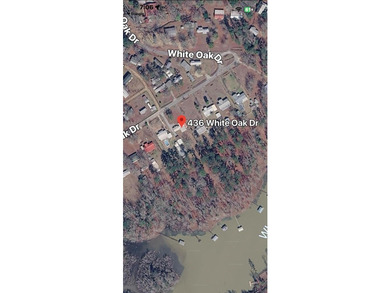 Come experience lakefront living on this beautiful, level lot - photo 44