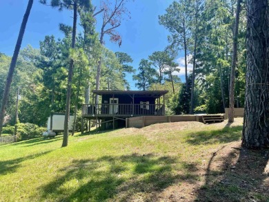 Toledo Bend Lake Home Sale Pending in Hemphill Texas