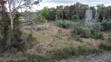 Lehigh Acres Area Lot For Sale in Lehigh Acres Florida